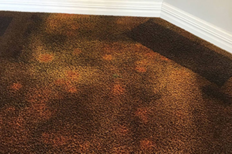 Carpet Dyeing Carpet Repair Saint Paul